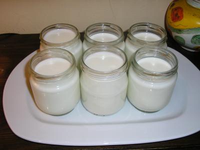 yogures caseros
